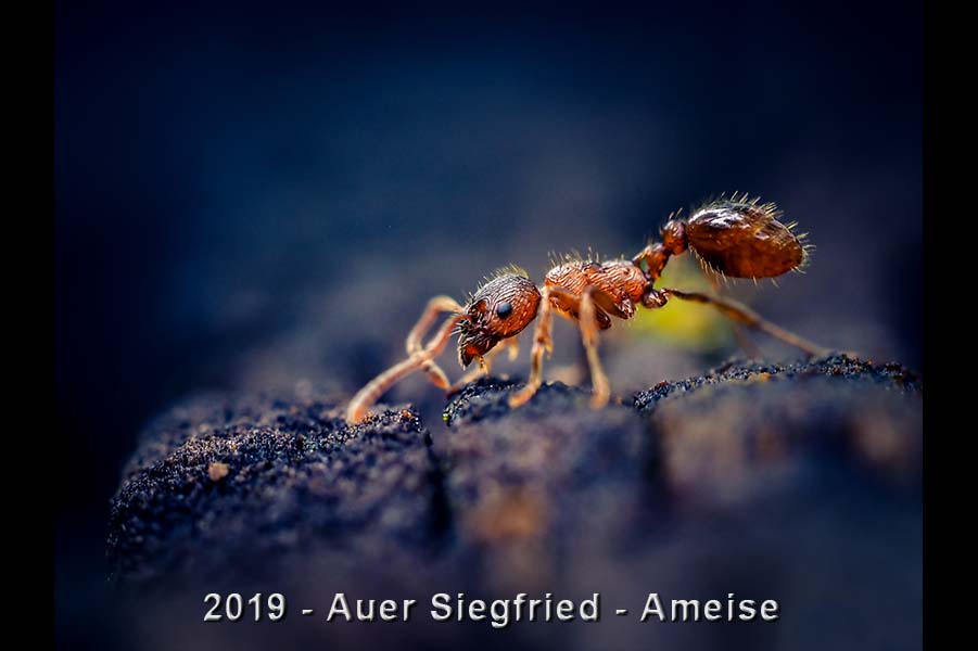 2018